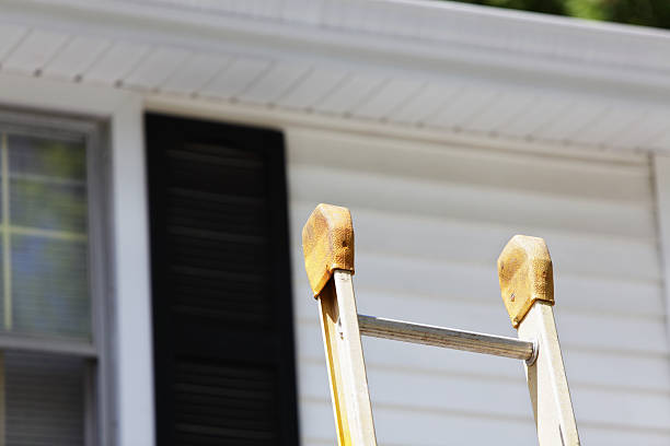 Best Residential Vinyl Siding Installation  in South Gull Lake, MI